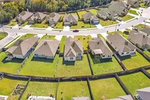 4791 Native Tree Ln, Bryan, TX 77845 - Photo 13