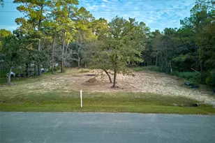 17910 Sea Turtle Ct, Magnolia, TX 77355 - Photo 1