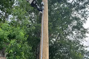 14321 Strausie, Montgomery, TX 77302 - Photo 5