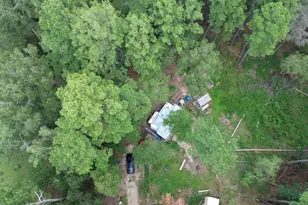 4400 FM 1004, , TX 75933 - Photo 5