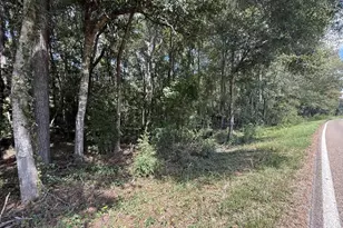 4400 FM 1004, , TX 75933 - Photo 11