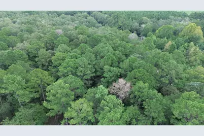 4400 Fm 1004, , TX 75933 - Photo 23