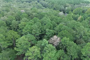 4400 FM 1004, , TX 75933 - Photo 23