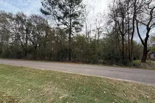 24802 Marks Rd, Splendora, TX 77372 - Photo 9