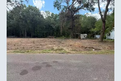 24802 Marks Road, Splendora, TX 77372 - Photo 1
