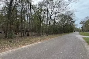 24802 Marks Rd, Splendora, TX 77372 - Photo 7