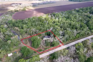 437 County Road 165 Dr, Boling, TX 77420 - Photo 31