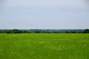 Tract 4 Company Field Rd, Schulenburg, TX 78956 - Photo 1