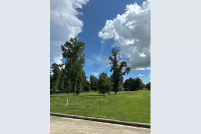 1 Lovers Lane, Dayton, TX 77535 - Photo 3