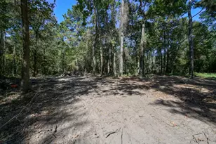 3005 Windmill Ln, Montgomery, TX 77316 - Photo 7