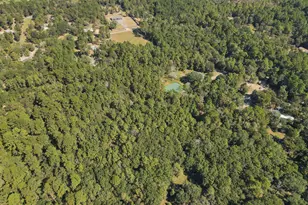 3005 Windmill Ln, Montgomery, TX 77316 - Photo 29