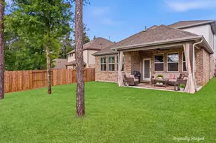 218 Woods Rose Ct, Conroe, TX 77318 - Photo 27