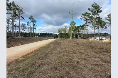 Tbd 7 Red Lowe Road, Livingston, TX 77351 - Photo 5