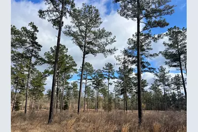 Tbd 7 Red Lowe Road, Livingston, TX 77351 - Photo 3