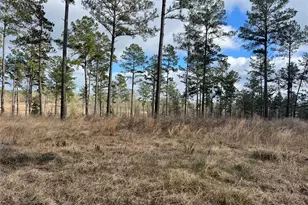 200 Aggie Ave, Livingston, TX 77351 - Photo 1