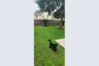 13230 Skyviewgreen Drive, Houston, TX 77047 - Photo 19