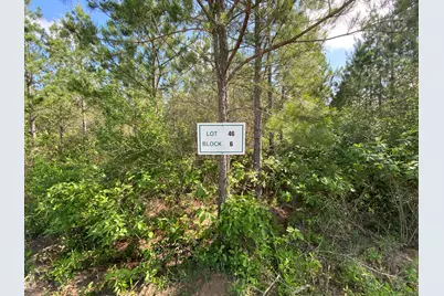 11873 Moss Grove Court, Willis, TX 77378 - Photo 5