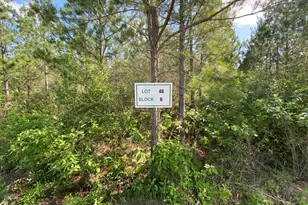 11873 Moss Grv Ct, Willis, TX 77378 - Photo 5