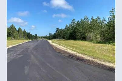 11873 Moss Grove Court, Willis, TX 77378 - Photo 7