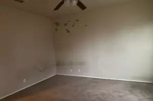 162 Golden Wren, San Antonio, TX 78253 - Photo 11