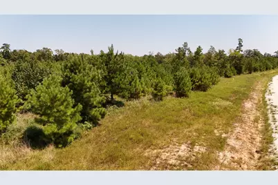 Tract 100 Robertson Road, Lovelady, TX 75851 - Photo 7