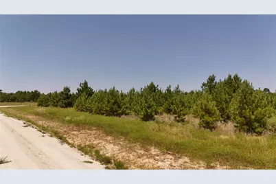 Tract 100 Robertson Road, Lovelady, TX 75851 - Photo 5