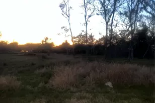 32602 Bayou Bnd, Richwood, TX 77515 - Photo 1