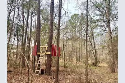 1580 Fm 1745 N, Colmesneil, TX 75938 - Photo 33