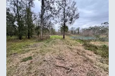 3747 County Road 611, Angleton, TX 77515 - Photo 11