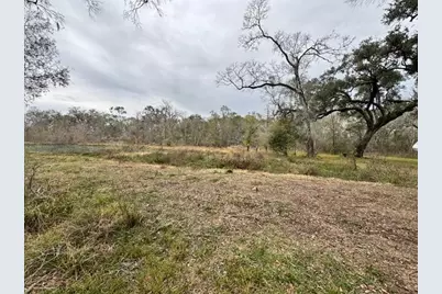 3747 County Road 611, Angleton, TX 77515 - Photo 5