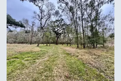 3747 County Road 611, Angleton, TX 77515 - Photo 9