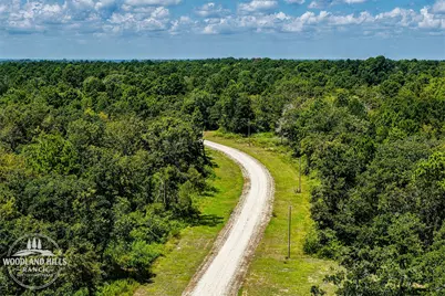 10 Acres Lot 81 Woodland Hills Ranch, Centerville, TX 75833 - Photo 1