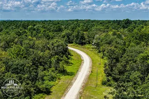 10 Acres Lot 81 Woodland Hills Ranch, Centerville, TX 75833 - Photo 1