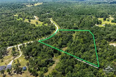 10 Acres Lot 81 Woodland Hills Ranch, Centerville, TX 75833 - Photo 5