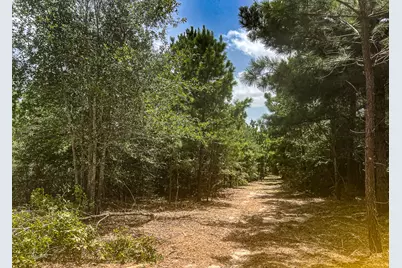 13553 County Road 446, Navasota, TX 77868 - Photo 5