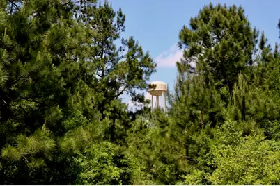 13553 County Road 446, Navasota, TX 77868 - Photo 23