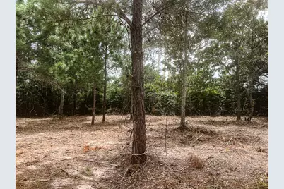 13553 County Road 446, Navasota, TX 77868 - Photo 1