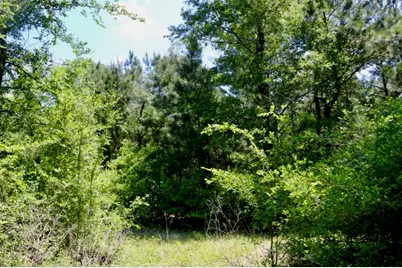 13553 County Road 446, Navasota, TX 77868 - Photo 13