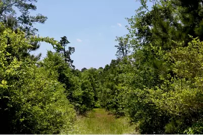 13553 County Road 446, Navasota, TX 77868 - Photo 11