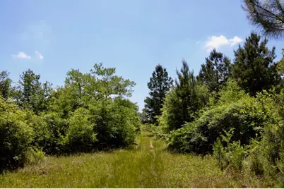 13553 County Road 446, Navasota, TX 77868 - Photo 15