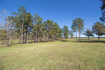1275 Castlewood Road, Livingston, TX 77351 - Photo 17