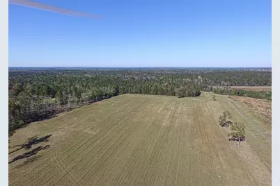 1275 Castlewood Road, Livingston, TX 77351 - Photo 7