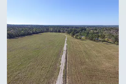 1275 Castlewood Road, Livingston, TX 77351 - Photo 9