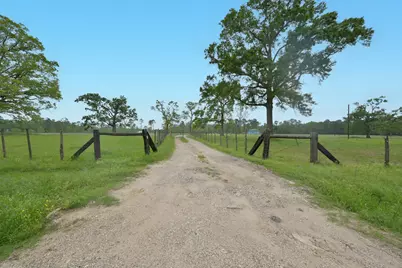 18206 Pickering Rd, Conroe, TX 77302 - Photo 5