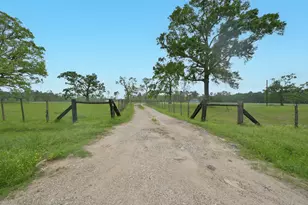 18206 Pickering Rd, Conroe, TX 77302 - Photo 5