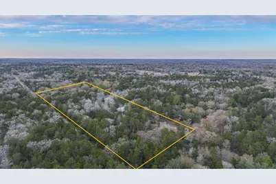 1042 Black Forest Ln, Cat Spring, TX 78933 - Photo 41