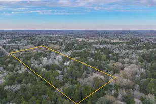 1042 Black Forest Ln, Cat Spring, TX 78933 - Photo 41