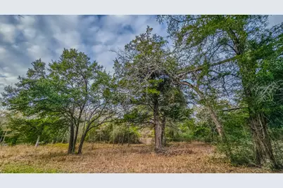 1042 Black Forest Ln, Cat Spring, TX 78933 - Photo 15