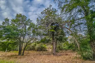 1042 Black Forest Ln, Cat Spring, TX 78933 - Photo 15