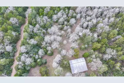 1042 Black Forest Ln, Cat Spring, TX 78933 - Photo 35